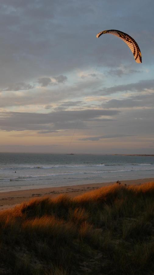 Surf Quiberon, L'oyat